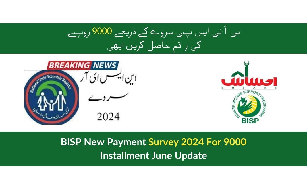 BISP New Payment Survey 2024