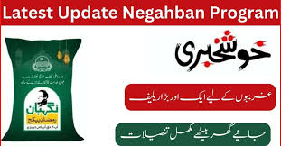 Negahban program