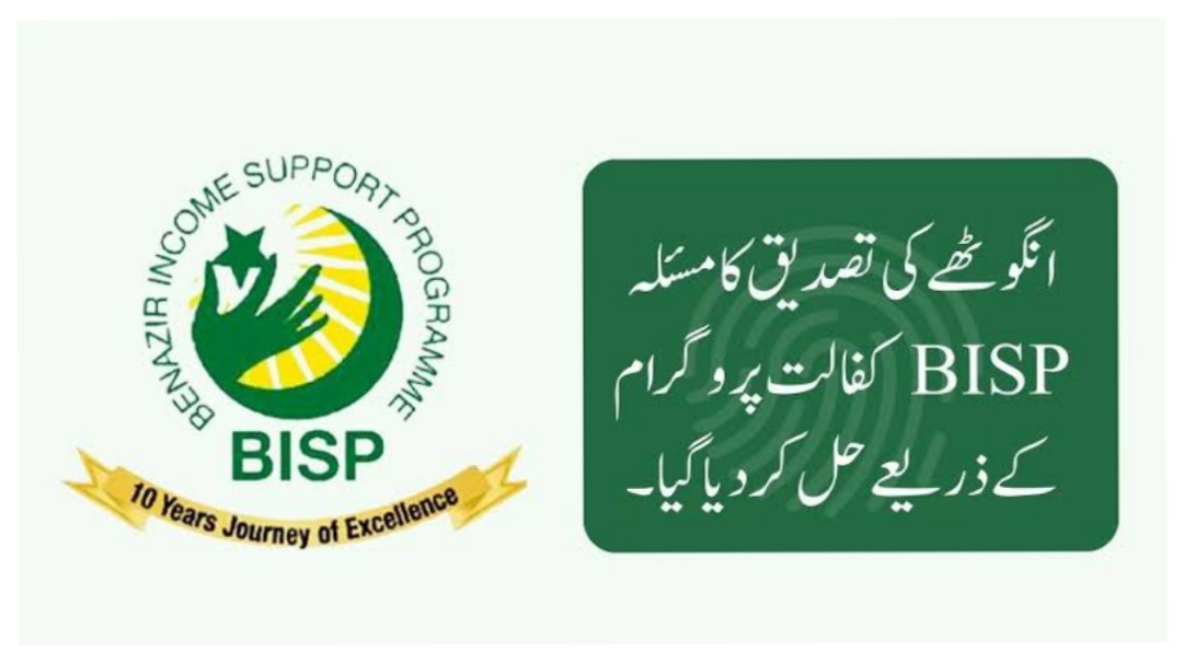 Bisp